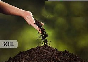 Timberline  1 Cubic Foot Top Soil